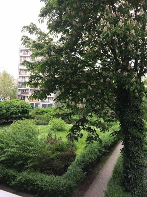 Bright And Cozy Apartment Near Park, With A Huge Terrace. วอร์ซอ ภายนอก รูปภาพ